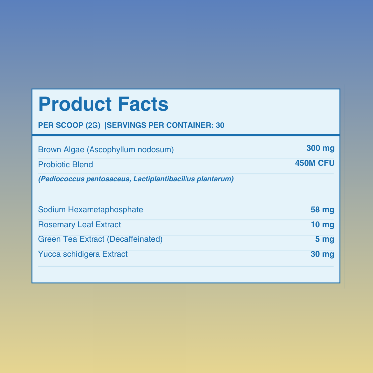 Dental Powder — Fresh Breath, Cleaner Teeth & Healthier Gums for Dogs